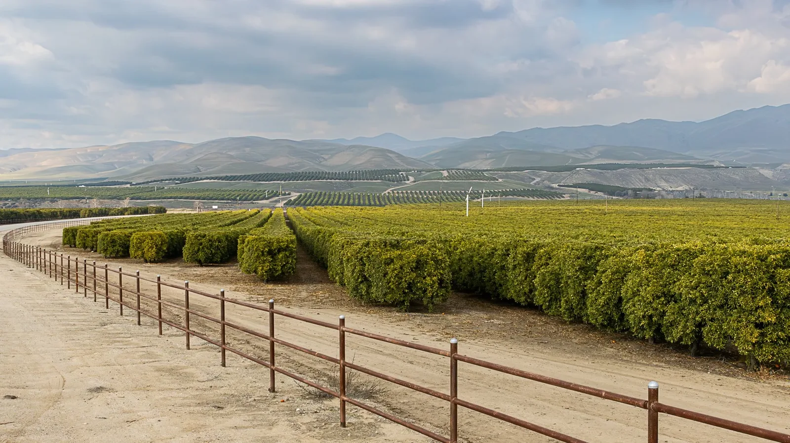 Kern County: Land & Wildlife — Orchard road