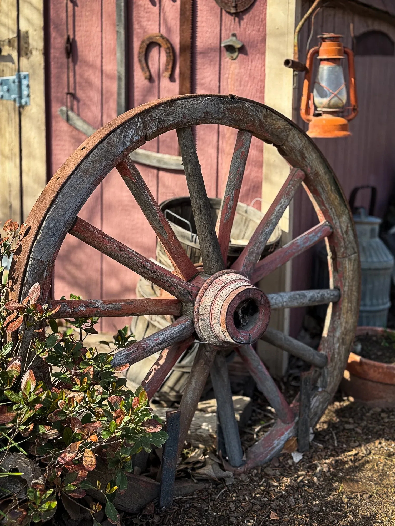 Kern County: Land & Wildlife — Wagon wheel still life
