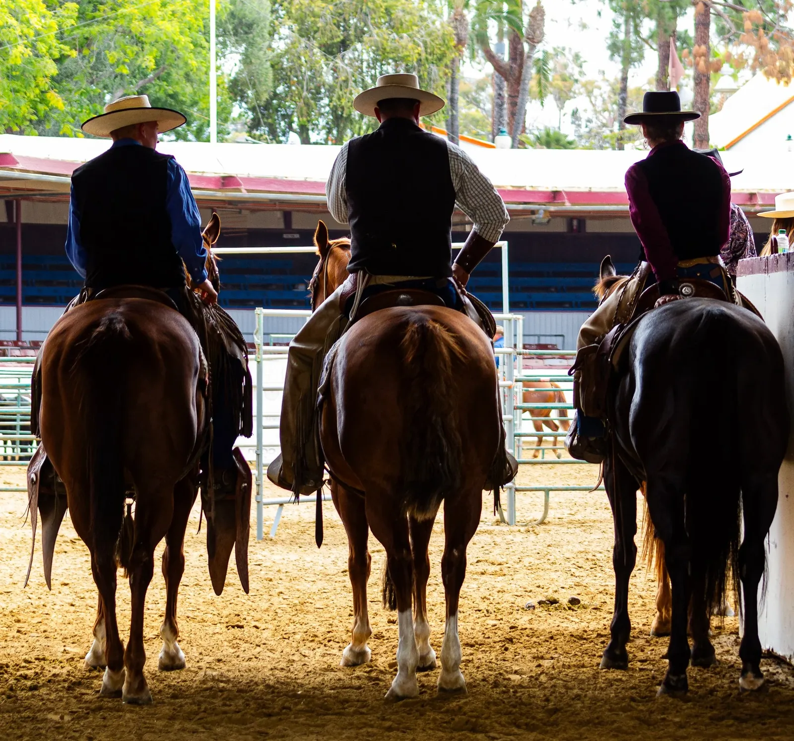 Working Horse & Horsemanship — Three riders at the arena rail