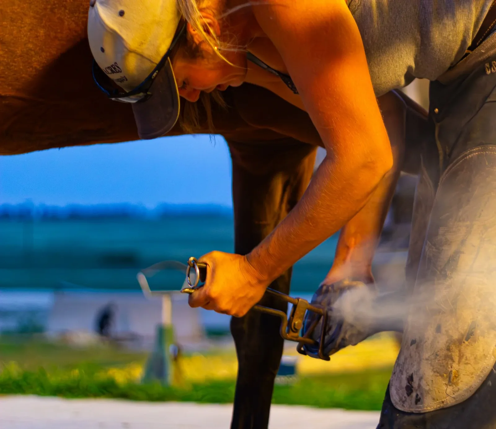 Working Horse & Horsemanship — Farrier at work