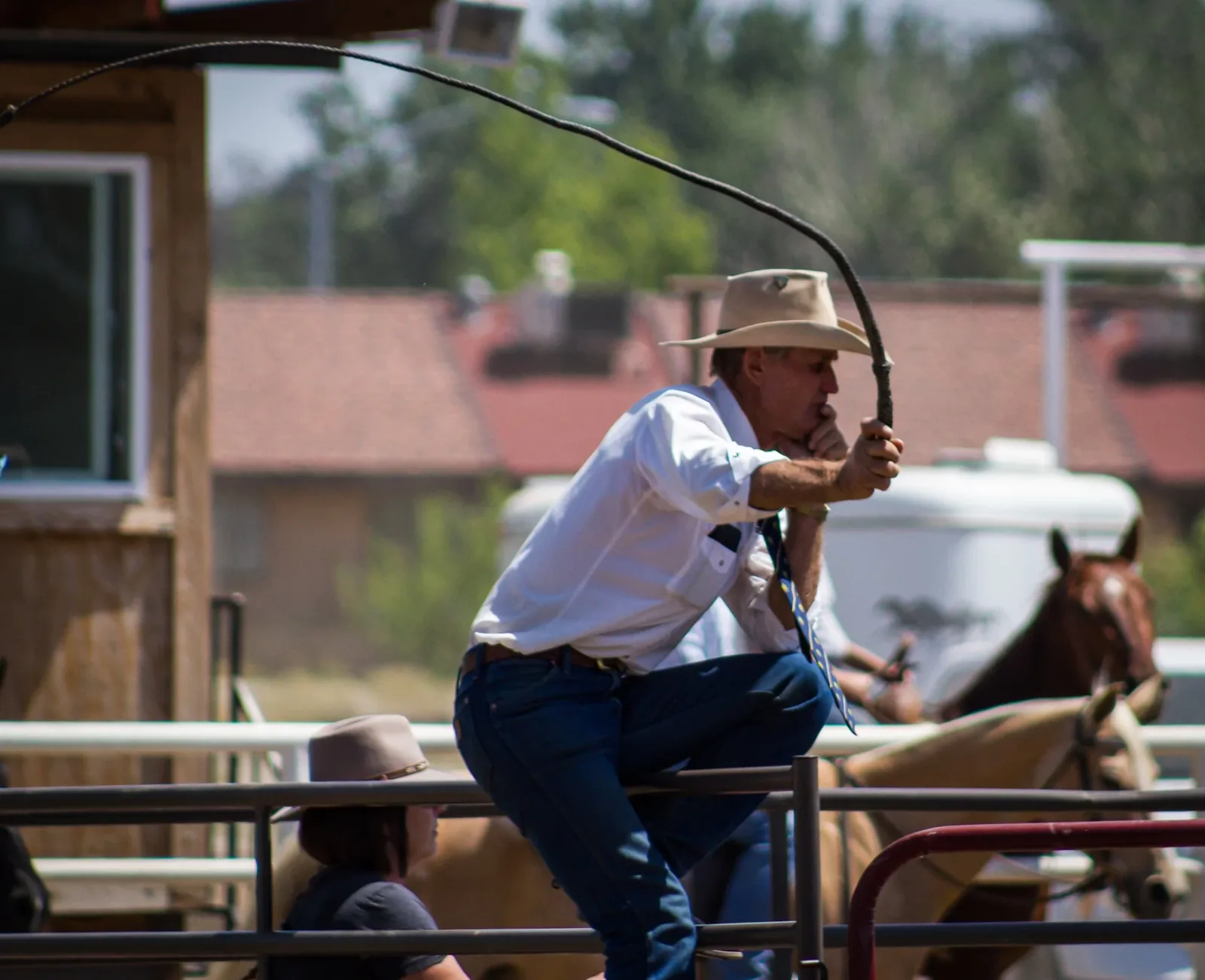 Working Horse & Horsemanship — Cracking the whip