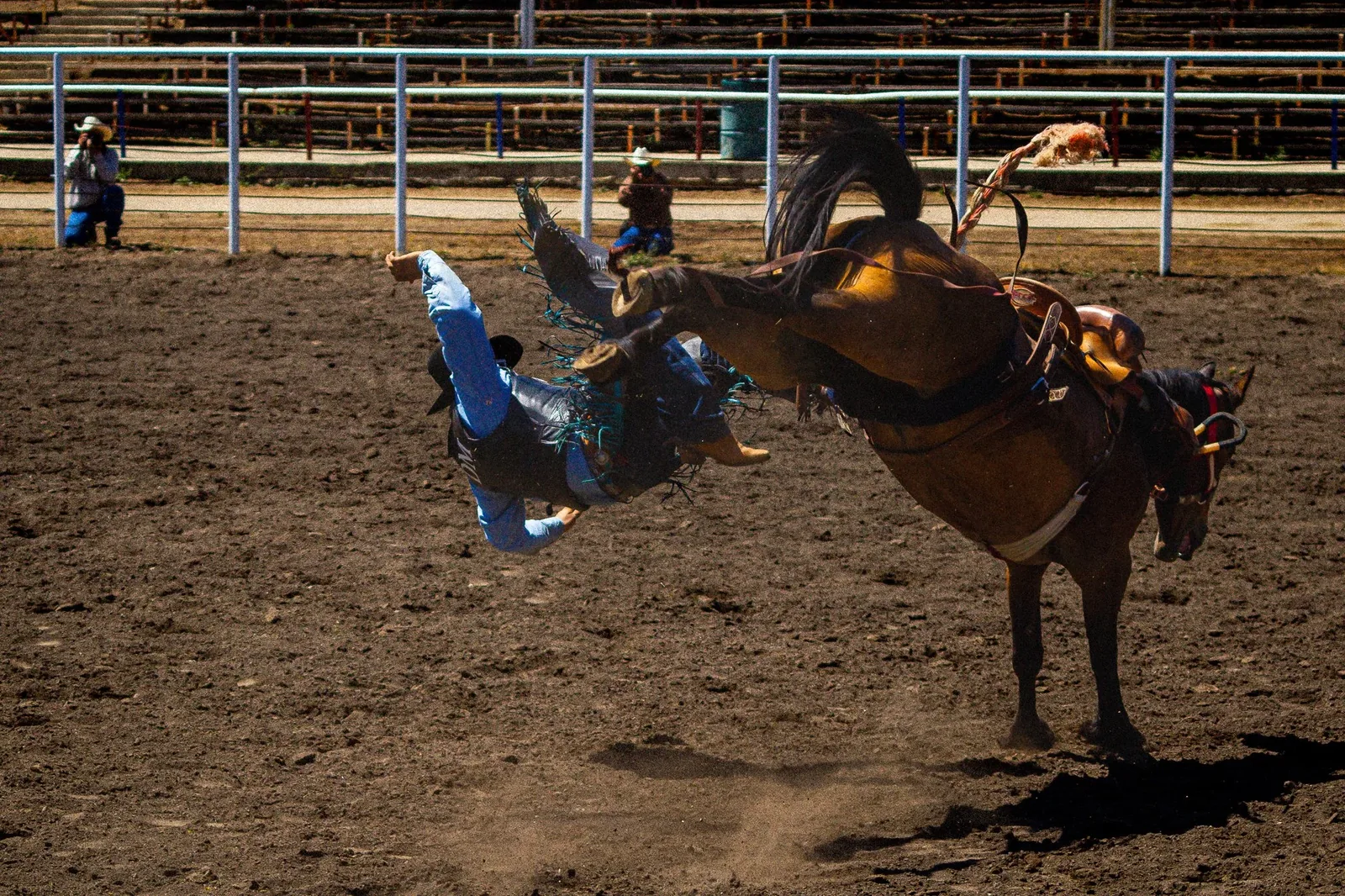 Working Horse & Horsemanship — Bronc ride