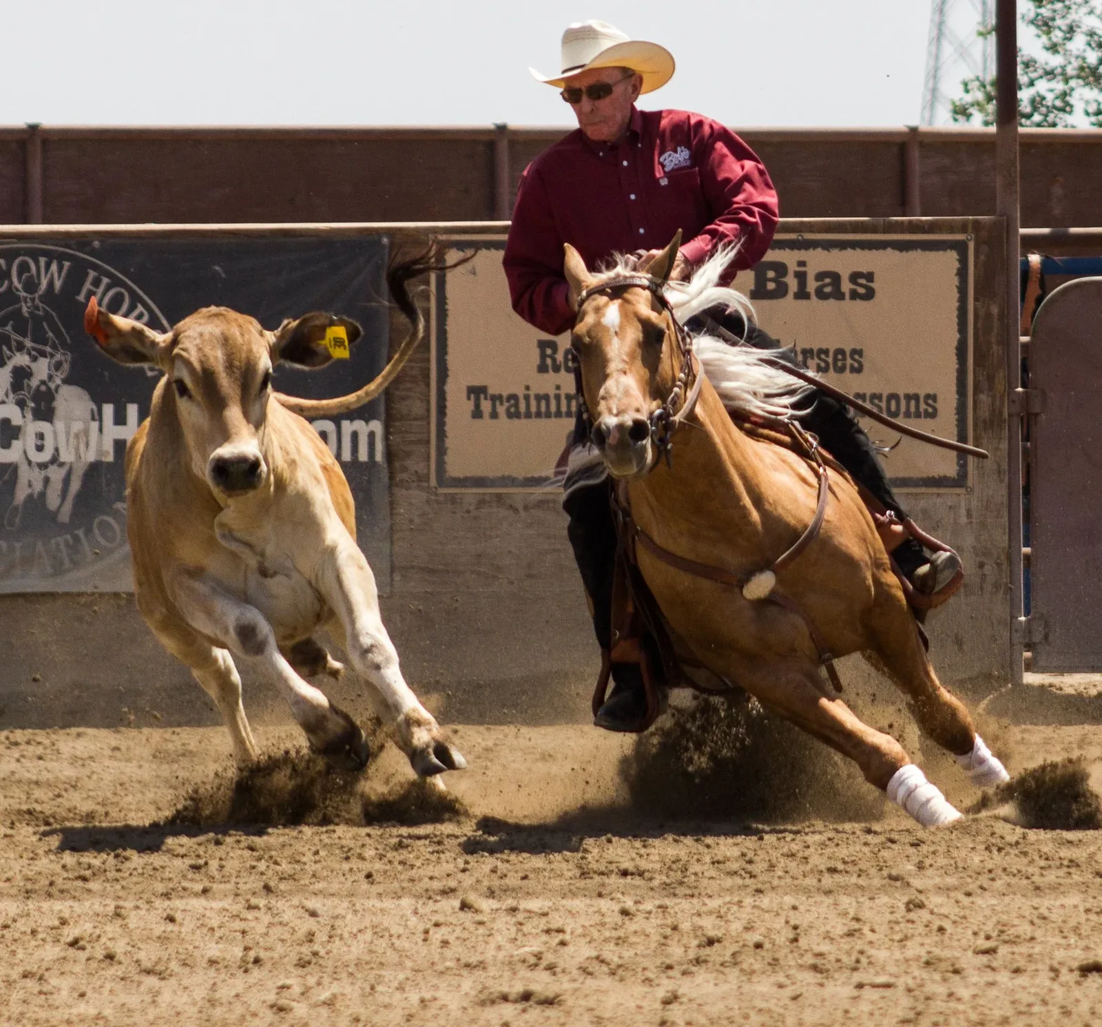 Working Horse & Horsemanship — Working a cow
